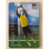 Magnet relief Hugo Lloris - Équipe de France de football 2010 - Carrefour
