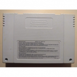 World League Basketball pour Super Nintendo