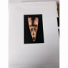 L'Art africain - Jacques Kerchache - Jean-Louis Paudrat - Lucien Stephan - Citadelles & Mazenod
